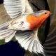 Illustration for article titled Birds Use Quantum Mechanics to See Magnetic Fields, New Research Suggests